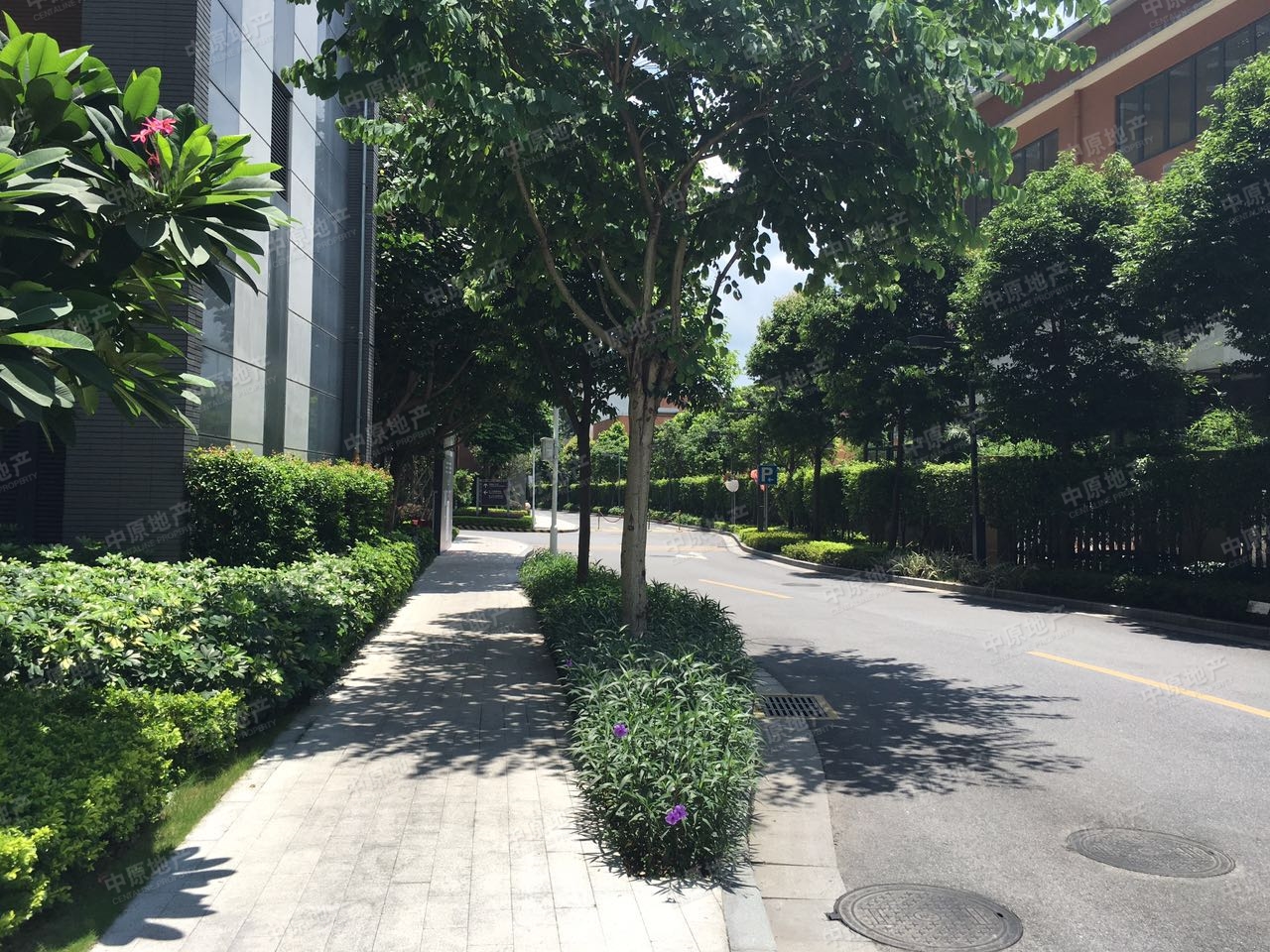 凯云新世界 普通住宅 小区图3