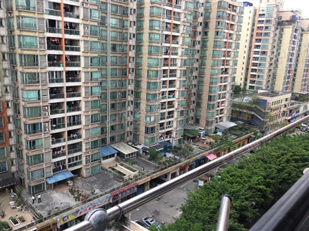 中兴花园南向高层 花园式的管理