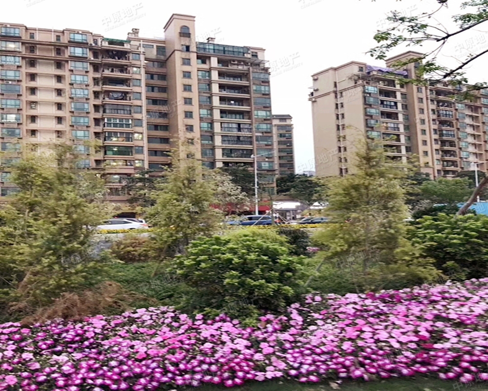 雅居乐雍华庭,雅居乐雍华廷,花都雅居乐(第10页)_大山谷图库