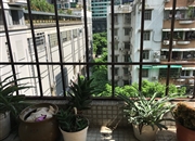 紫荆小区-景观