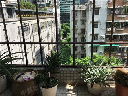 紫荆小区-景观