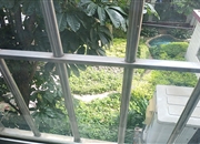 幼师宿舍-景观