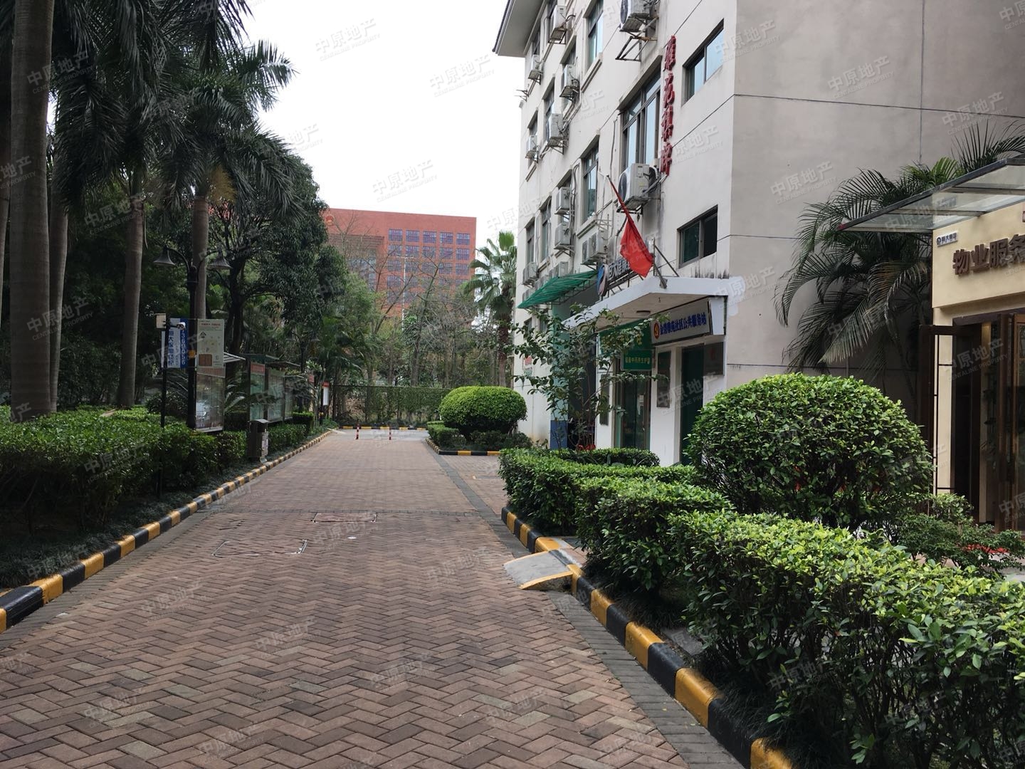 金碧雅苑 普通住宅 小区图1