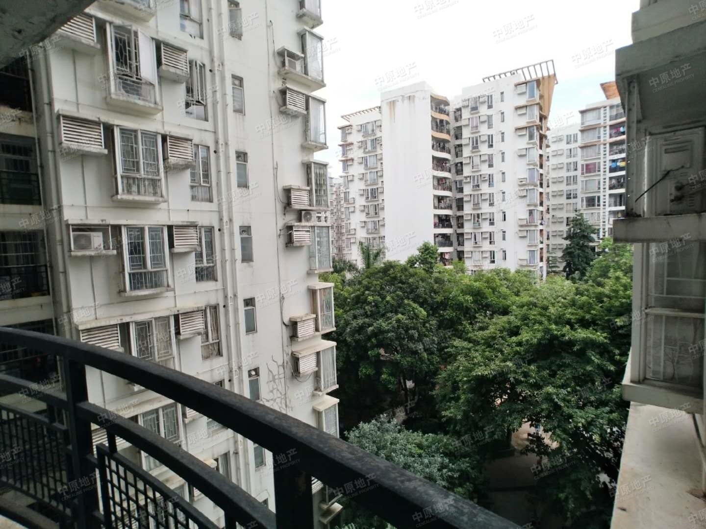 广州旭景花园图片