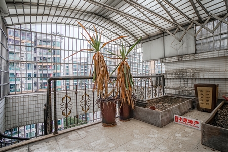 骏景花园-阳台
