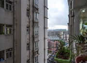 喜洋居-景观