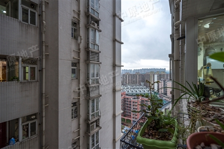 喜洋居-景观