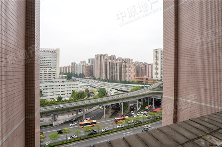 跑马地花园-景观