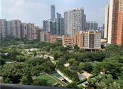 凯旋新世界广粤尊府-景观