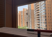 凯旋新世界广粤尊府-景观