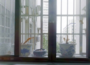 金田花苑-景观
