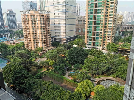 君怡大厦(华骏花园)-景观