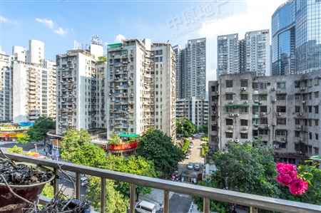 公安小区(林和东路)-景观