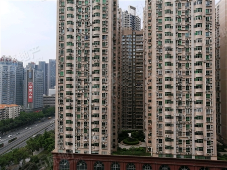 名门大厦-景观
