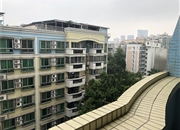 天一新村-景观