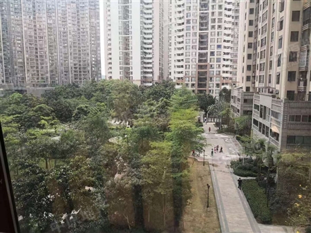 理想地公寓-景观