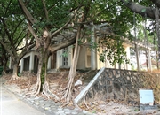 南航碧花园-客厅