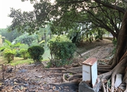 南航碧花园-景观