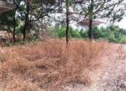 南航碧花园-阳台