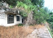 南航碧花园-客厅