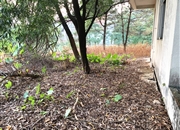 南航碧花园-景观