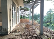 南航碧花园-阳台