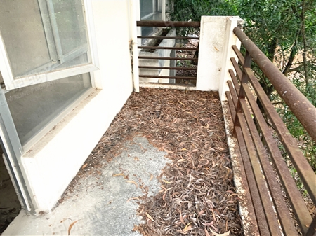 南航碧花园-生活阳台