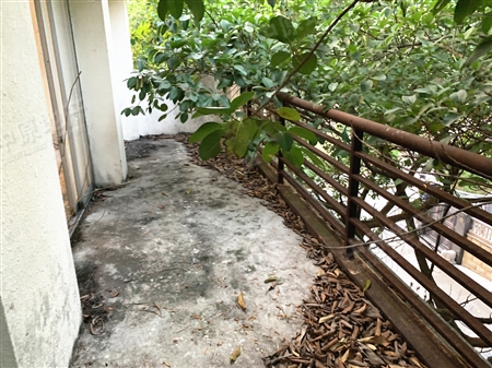 南航碧花园-阳台