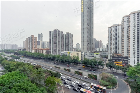 名门大厦-景观