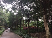 龙光峰景华庭-客厅