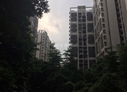 龙光峰景华庭-客厅