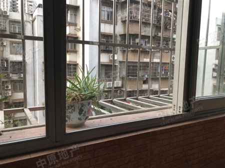 信成小区-景观