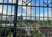 远洋明苑-景观