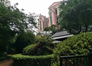 翠湖山庄-客厅