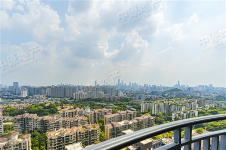 汇景新城中央庭园-景观