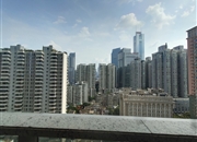 峻林-景观