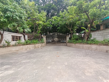 第三金碧花园-其他