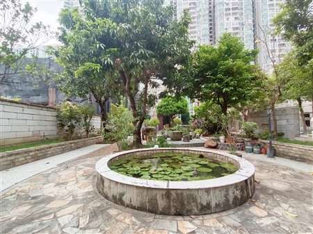 第三金碧花园-其他