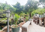 第三金碧花园-其他