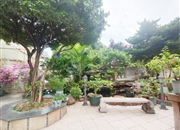 第三金碧花园-其他