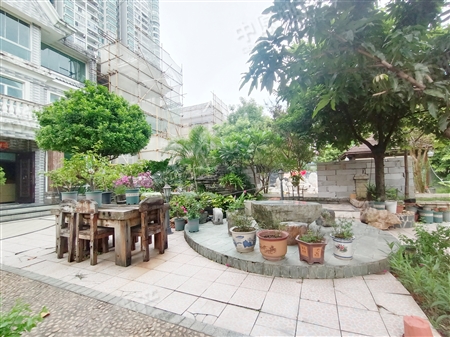 第三金碧花园-其他