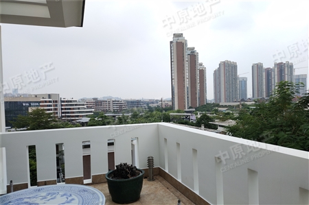 金山谷花园别墅-景观