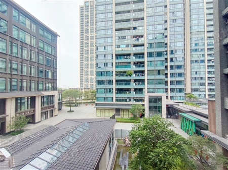 保利天悦(公寓)-景观