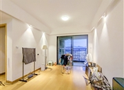 实地常春藤-客厅