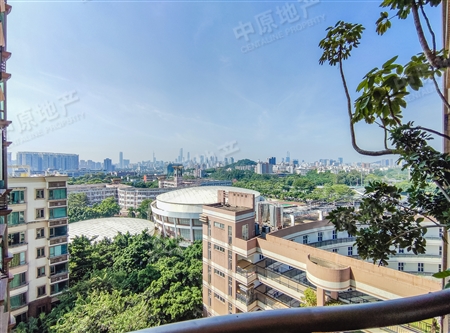汇景新城六八街-景观