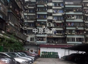 龙珠楼-客厅