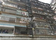 龙珠楼-客厅