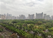 凯旋新世界枫丹丽舍-景观