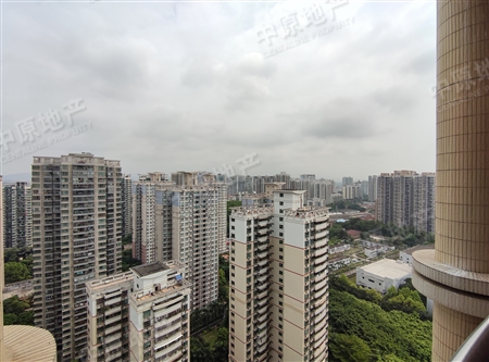 翠湖山庄-景观