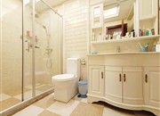 天鹅湾一期-洗手间